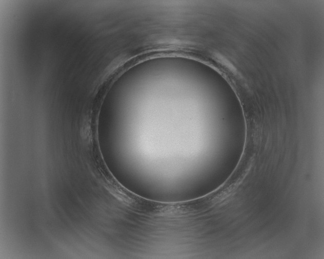 X0000074261259200608251217