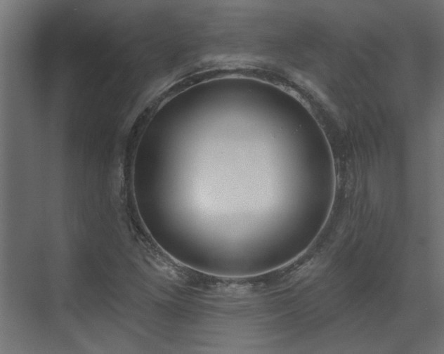 X0000074261261200608251217