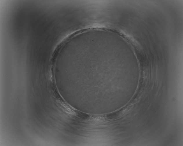 X0000074261262200608251217