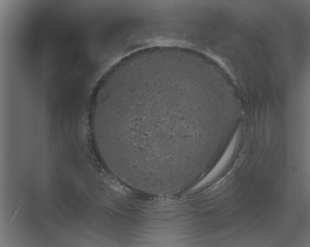 X0000074261263200608251217