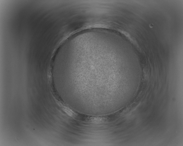 X0000074261266200608251217