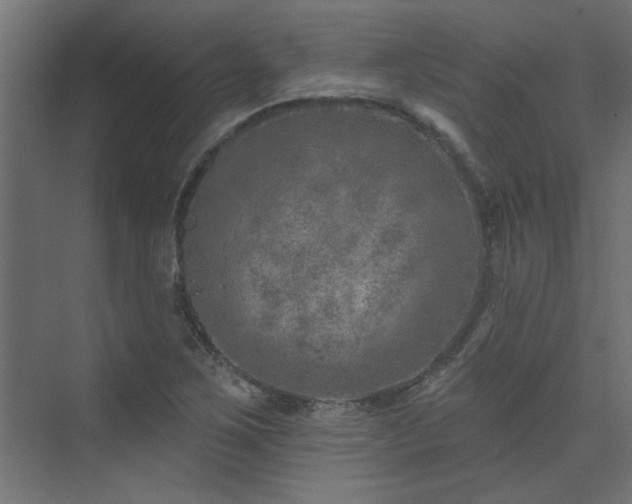 X0000074261267200608251217