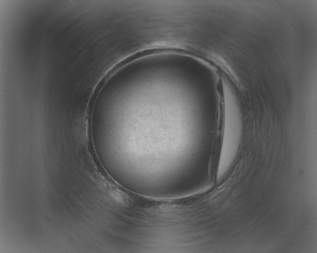 X0000074261268200608251217