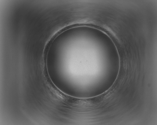 X0000074261270200608251217