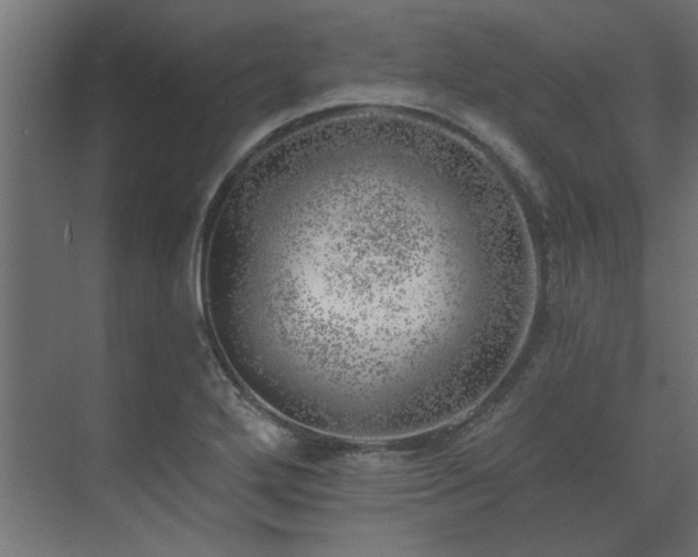 X0000074261272200608251217