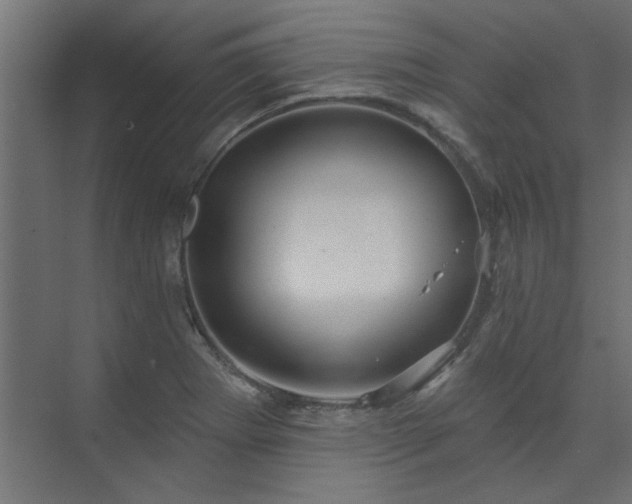 X0000074261273200608251217