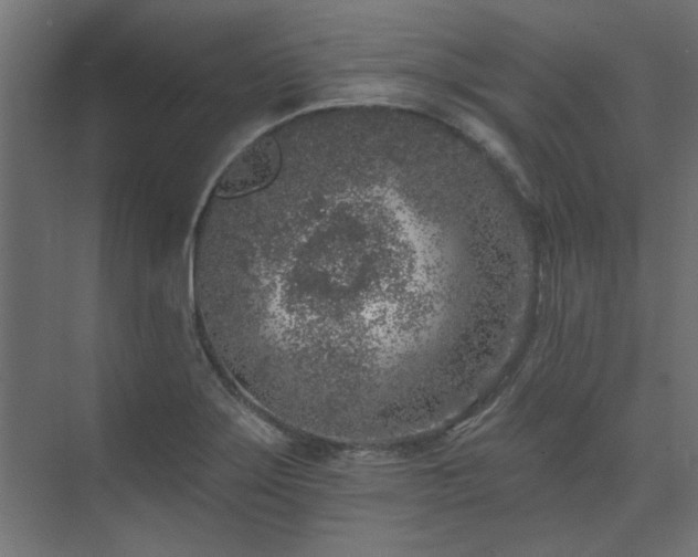 X0000074261275200608251216