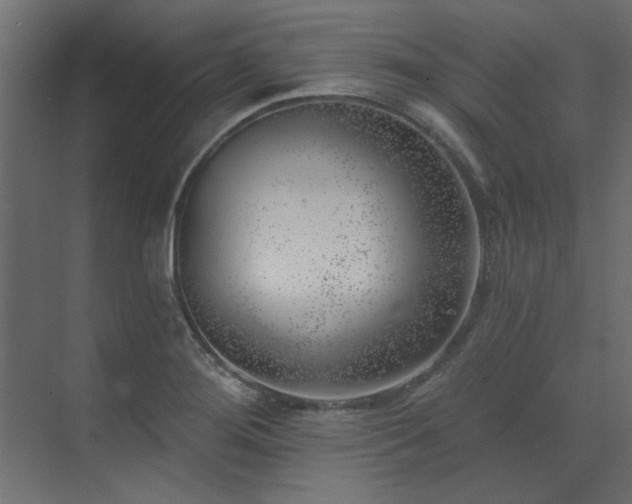 X0000074261276200608251216