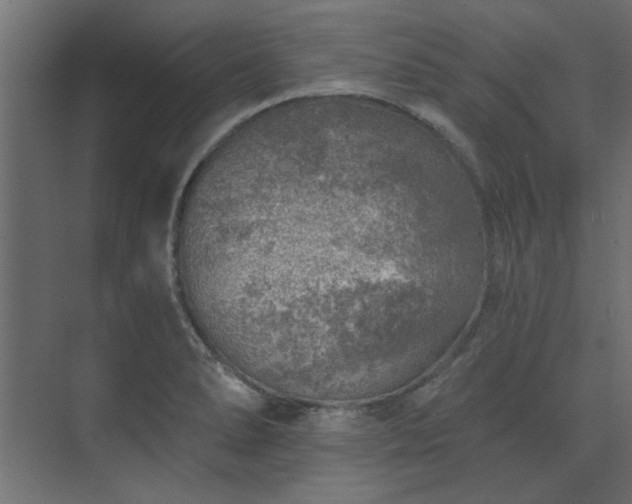 X0000074261278200608251216