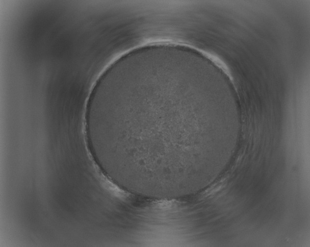 X0000074261279200608251216