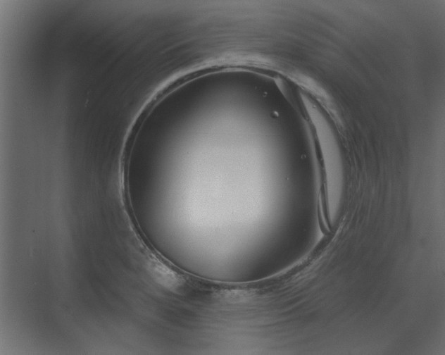 X0000074261280200608251216