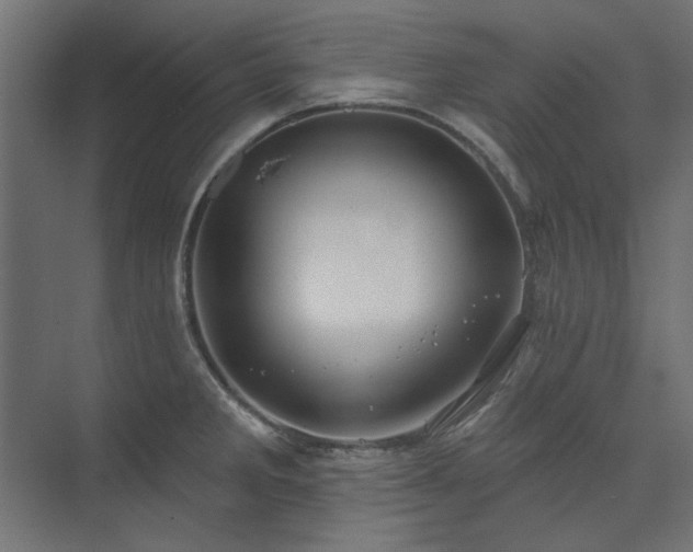 X0000074261285200608251216