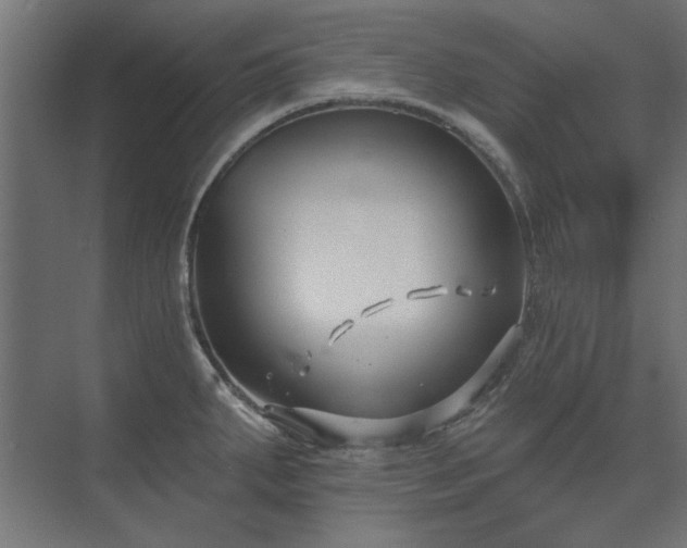 X0000074261287200608251216