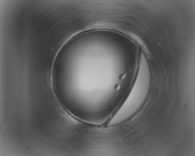 X0000074261288200608251216