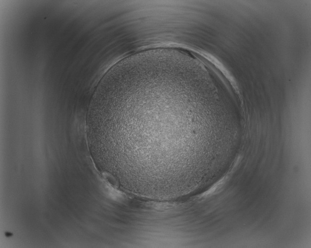 X0000074261289200608251216