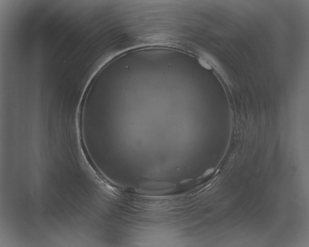 X0000074261291200608251216