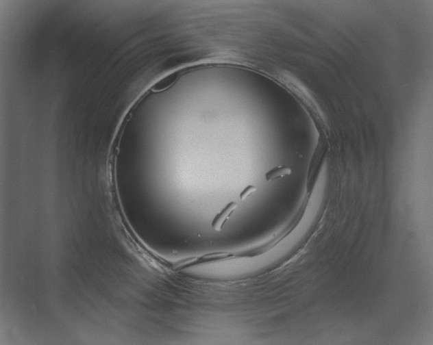 X0000074261292200608251216