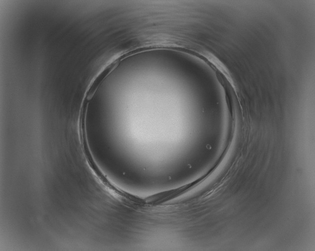 X0000074261293200608251216