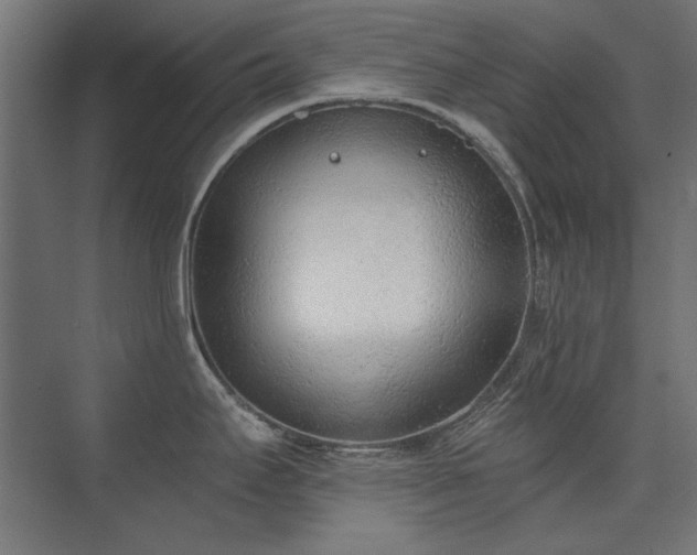 X0000074261295200608251216