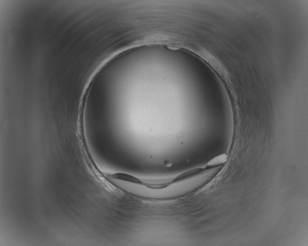 X0000074261296200608251216