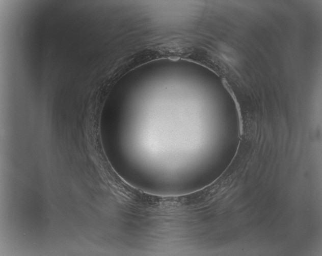 X0000074261297200608251215