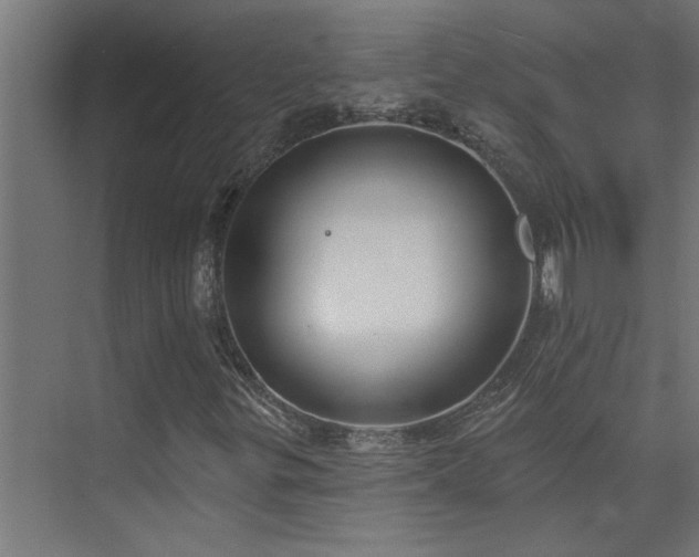 X0000074261299200608251215