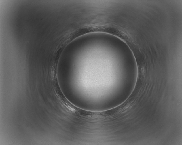 X0000074261300200608251215