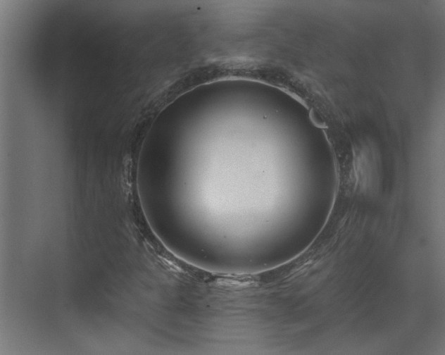 X0000074261301200608251215