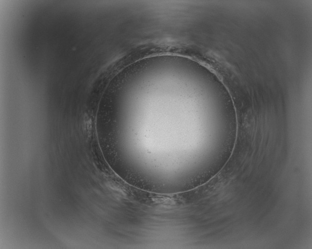 X0000074261302200608251215