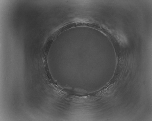 X0000074261303200608251215