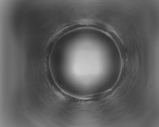 X0000074261304200608251215