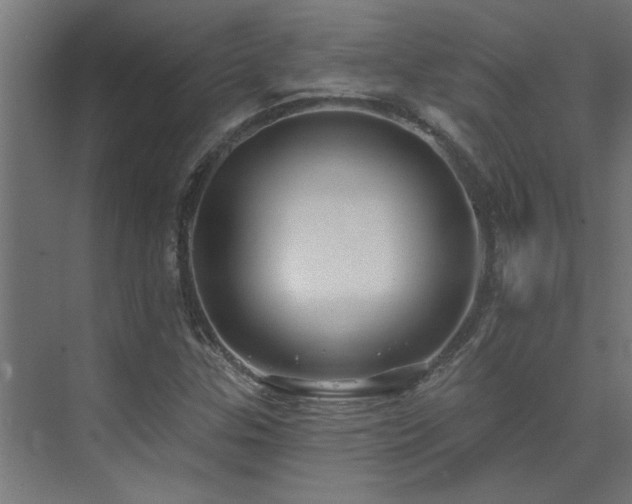 X0000074261307200608251215