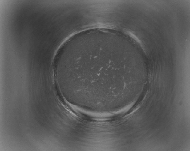 X0000074261310200608251216