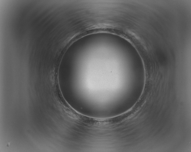 X0000074261313200608251216