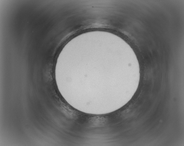 X0000074261314200608251216