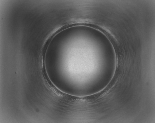 X0000074261317200608251216