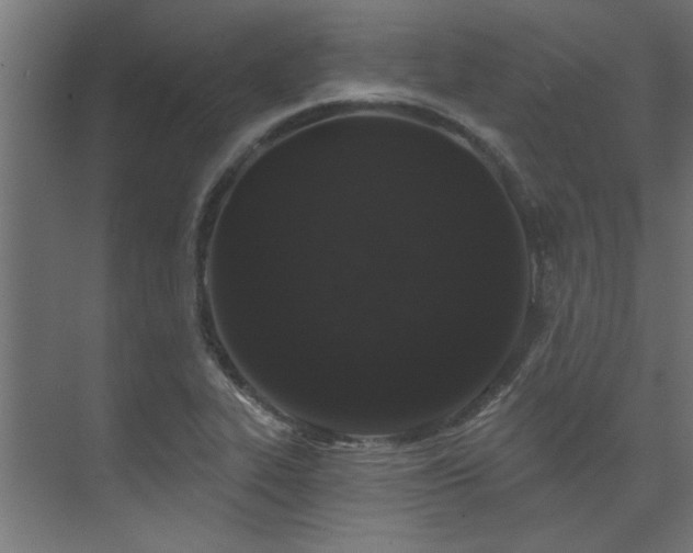 X0000074261319200608251216