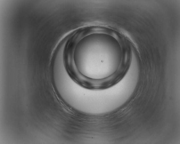 X0000074261320200608251216