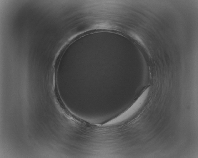 X0000074261323200608251216