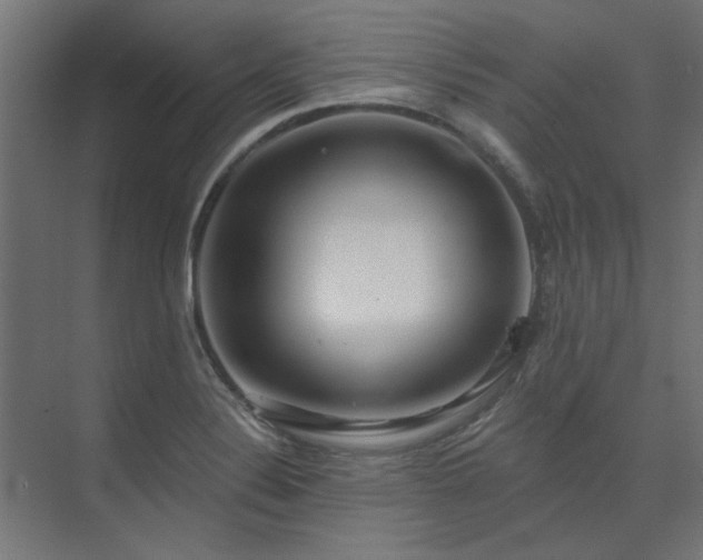 X0000074261324200608251216