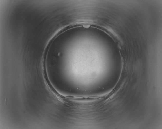 X0000074261325200608251216