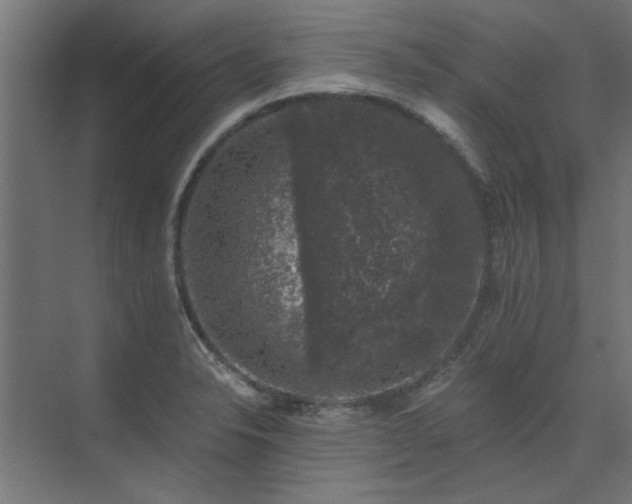 X0000074261326200608251216