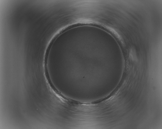 X0000074261327200608251216