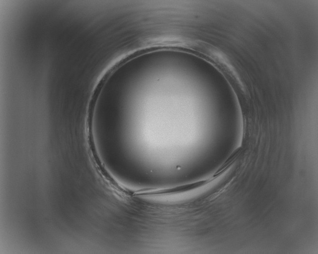 X0000074261328200608251216