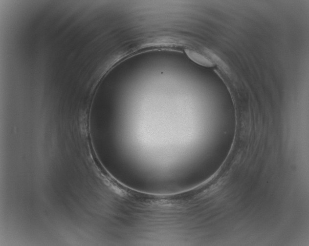 X0000074261329200608251216