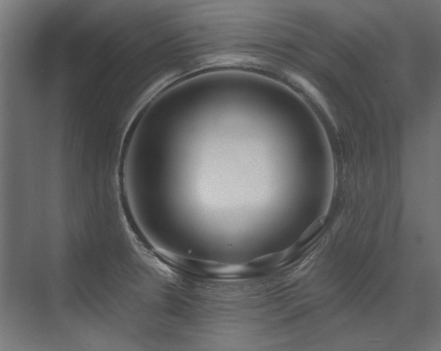 X0000074261330200608251216