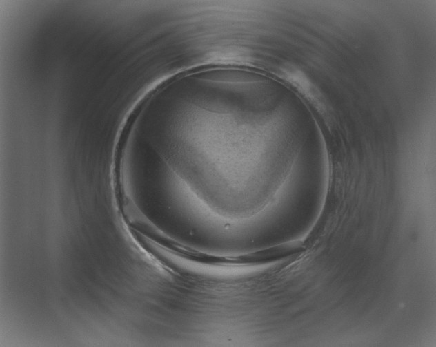 X0000074261331200608251216