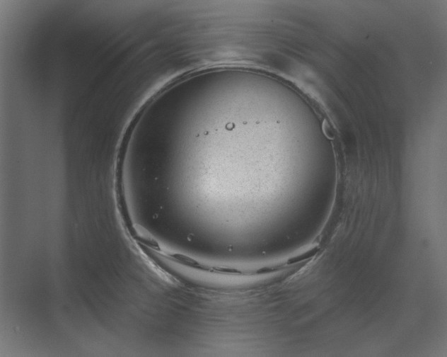 X0000074261333200608251216