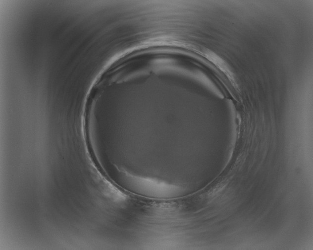 X0000074261334200608251216