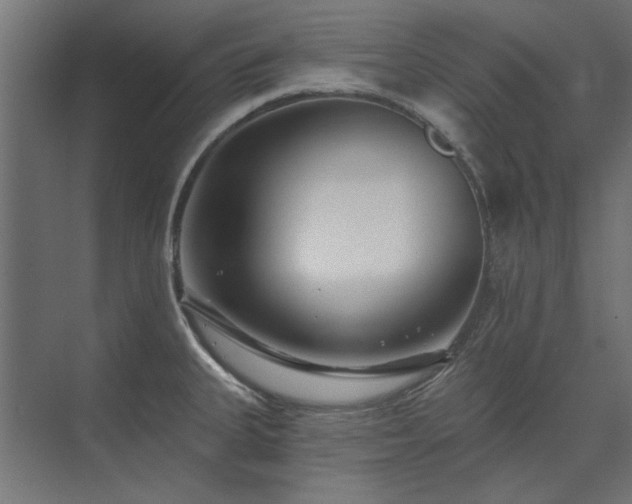 X0000074261335200608251216